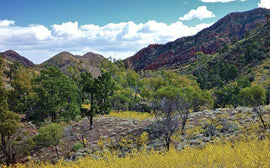 Photo of the landscape at Aroona in QLD