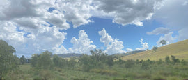 Photo of the landscape at Coopers Crossing in NSW.