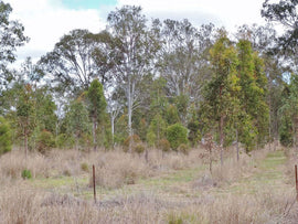 Photo of the landscape at Purga Creek in QLD.