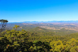 Photo of the landscape at Koala Crossing in QLD.