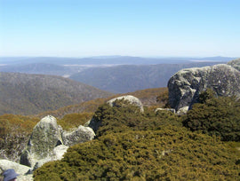 Photo of the landscape at Namadgi National Park, ACT.