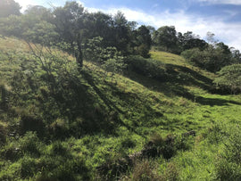 Photo of the landscape at The Medow in NSW.