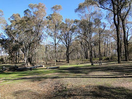 Photo of the landscape at Kamarooka in VIC