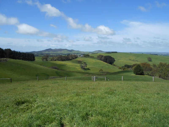 Photo of the landscape at Arnups Road in VIC