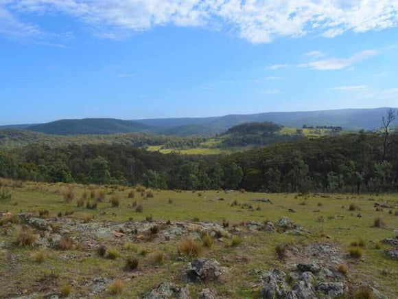 Photo of the landscape at Back O'Slaters, NSW.