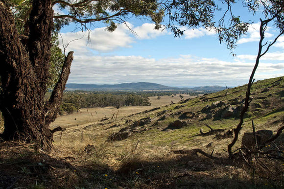 Photo of the landscape at Kara Kara in VIC.