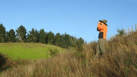 Landscape photo of a forest and a man standing on the side of the hill wearing orange high vis, looking out to the forest.