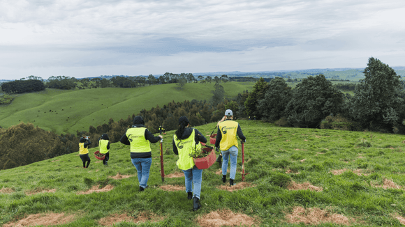 Photo of people on hill at forest for a Greenfleet planting day, wearing yellow high-visibility vests.