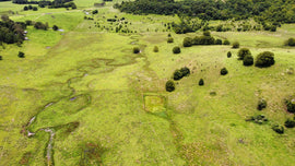 Photo of the landscape at Spurfield Road in NSW.