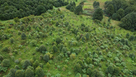 Photo of the landscape at Anam Talamh in NSW.