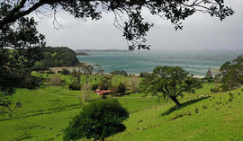 Photo of the landscape at Te Muri in NZ.