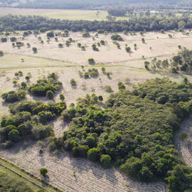 Photo of the landscape at Three Bridges in VIC.