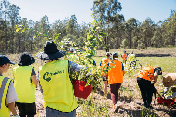 Photo of Greenfleet staff and supporters at planting day with seedlings. 