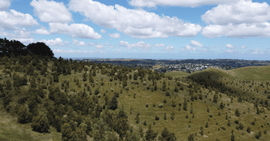 Photo of the landscape at Ness Creek in VIC.