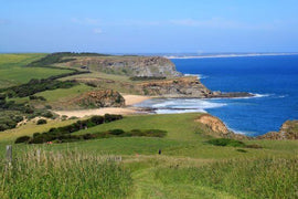 Photo of the landscape at George Bass Costal Walk in VIC.