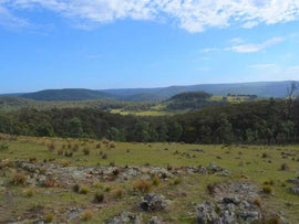 Photo of the landscape at Back O'Slaters, NSW.