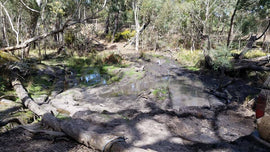 Photo of the landscape at Cobaw in VIC