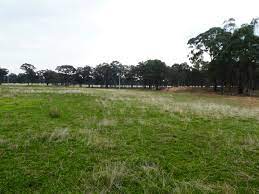 Photo of the landscape at Nevinson Road in VIC.