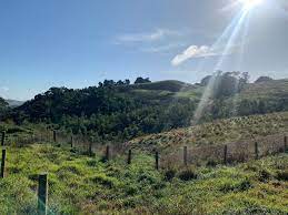 Photo of the landscape at Wurneet Laang Laang in VIC